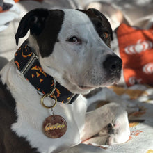 Load image into Gallery viewer, Jack-0-Lantern Faces Dog Collar
