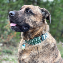 Load image into Gallery viewer, Dog Collar/ Hiking Buddies Dog Collar/ Hiking Dog Collar/ Outdoors Dog Collar/ Green Dog Collar