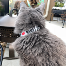 Load image into Gallery viewer, Dog Collar/ Mamas Boy Dog Collar/ Valentines Dog Collar/ Gray Dog Collar