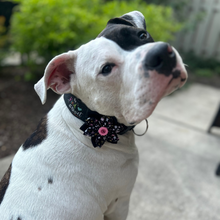 Load image into Gallery viewer, Build Your Own Collar Flower