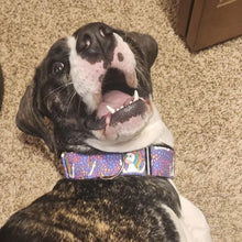 Load image into Gallery viewer, Middle Finger Unicorn Dog Collar