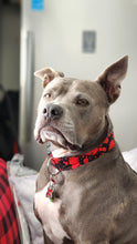 Load image into Gallery viewer, Dog Collar/ Blood on Black Dog Collar/ Bloody Dog Collar/ Halloween Dog Collar/ Spooky Dog Collar/ Fabric Dog Collar/ Fall Dog Collar
