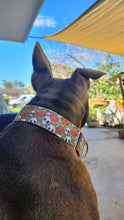 Load image into Gallery viewer, Dog Collar/ Valentine Skulls Dog Collar/ Valentines Dog Collar/ Love Dog Collar/ Skulls Dog Collar/ Fabric Dog Collar