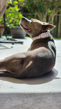 Load image into Gallery viewer, Dog Collar/ Sweet Cheeks Dog Collar/ Peaches Dog Collar/ Peach Butt Dog Collar/ Funny Dog Collar