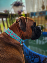 Load image into Gallery viewer, Dog Collar/Flamingo Floaties Dog Collar/ Flamingo Dog Collar/ Summer Dog Collar/ Pool Themed Dog Collar