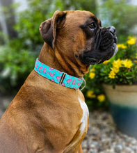 Load image into Gallery viewer, Dog Collar/Flamingo Floaties Dog Collar/ Flamingo Dog Collar/ Summer Dog Collar/ Pool Themed Dog Collar