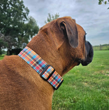 Load image into Gallery viewer, Orange and Blue Fall Plaid Dog Collar
