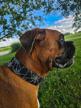 Load image into Gallery viewer, Dog Collar/ Glow in the Dark Webs Dog Collar/ Spider Webs Dog Collar/ Halloween Dog Collar/ Spooky Dog Collar/ Fabric Dog Collar/ Fall Dog Collar