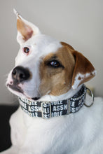 Load image into Gallery viewer, Dog Collar/ Asshole Dog Collar/ Black Dog Collar/ Cussing Dog Collar/Fabric Dog Collar