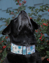 Load image into Gallery viewer, Dog Collar/ Blue and Gold Snowflakes Dog Collar/ Snowflakes Dog Collar/ Winter Dog Collar/ Snow Dog Collar / Fabric Dog Collar