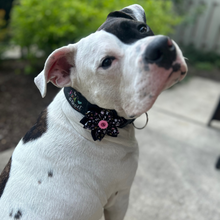 Load image into Gallery viewer, Dog Collar/ Be Kind or Be Quiet Dog Collar/ Kindness Dog Collar/ Be Kind Dog Collar/ Encouraging Dog Collar/ Fabric Dog Collar