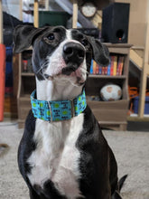 Load image into Gallery viewer, Dog Collar/ Ball is Life Dog Collar/ Tennis Ball Dog Collar/ Blue Dog Collar