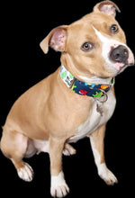 Load image into Gallery viewer, Mix and Match Dog Collar