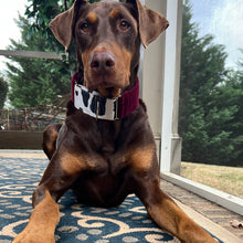 Load image into Gallery viewer, Mix and Match Dog Collar