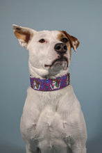 Load image into Gallery viewer, Dog Collar/ Middle Finger Unicorn Dog Collar/ Flip Off Dog Collar/ Funny Dog Collar/ Swearing Dog Collar/ Adult Dog Collar/ Fabric Dog Collar