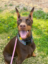 Load image into Gallery viewer, Spoiled As F*ck Dog Collar