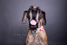 Load image into Gallery viewer, Dog Collar/ Petunia Dog Collar/ Petunia Flowers Dog Collar/ Multicolored Flowers Dog Collar/ Fabric Dog Collar