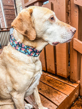 Load image into Gallery viewer, Dog Collar/ Fast as Fuck Dog Collar/ Fast Dog Dog Collar/ Swearing Dog Collar/ Adult Dog Collar/Fabric Dog Collar