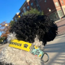 Load image into Gallery viewer, Dog Collar/ Nervous Dog Collar/ Don't Pet Dog Collar/ Yellow Dog Collar/ Training Dog Collar