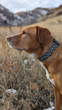Load image into Gallery viewer, Dog Collar/ Not My Pasture Not My Bullshit Dog Collar/ Funny Dog Collar/ Swearing Dog Collar/ Adult Dog Collar/Fabric Dog Collar
