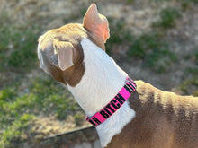 Load image into Gallery viewer, Dog Collar/ Bitch Dog Collar/ Large Lettering Hot Pink Dog Collar/ Cussing Dog Collar/Fabric Dog Collar