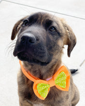 Load image into Gallery viewer, Build Your Own Bowtie