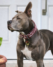 Load image into Gallery viewer, Dog Collar/ Plaid Animals Dog Collar/ Woodland Animals Dog Collar/ Winter Animals Dog Collar/ Buffalo Plaid Dog Collar / Fabric Dog Collar