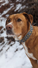 Load image into Gallery viewer, Dog Collar/ Not My Pasture Not My Bullshit Dog Collar/ Funny Dog Collar/ Swearing Dog Collar/ Adult Dog Collar/Fabric Dog Collar
