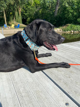 Load image into Gallery viewer, Dog Collar/ Coffee Dog Collar/ Iced Coffee Dog Collar/ Mint Dog Collar/ Blue Dog Collar