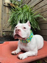 Load image into Gallery viewer, Dog Collar/ Limes Dog Collar/ Bright Lime Dog Collar/ Fruit Dog Collar/ Summery Dog Collar