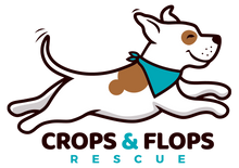 Load image into Gallery viewer, Crops and Flops Rescue Collar Donation