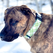 Load image into Gallery viewer, Green CrissCross Dog Collar