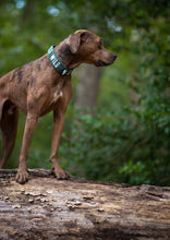 Load image into Gallery viewer, Dog Collar/ Wild Dog Collar/ Green Hiking Dog Collar/ Mountains Dog Collar/ Autumn Dog Collar/ Fabric Dog Collar
