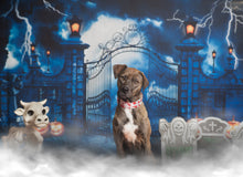 Load image into Gallery viewer, Dog Collar/ Blood on White Dog Collar/ Bloody Dog Collar/ Halloween Dog Collar/ Spooky Dog Collar/ Fabric Dog Collar/ Fall Dog Collar