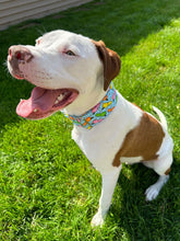 Load image into Gallery viewer, Dog Collar/ Hippos Dog Collar/ Hungry Hippos Dog Collar/ Game Dog Collar/ Fabric Dog Collar