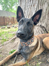 Load image into Gallery viewer, Dog Collar/ Pretzel Dog Collar/ Salty Dog Collar/ A Little Salty Dog Collar/ Food Dog Collar/ Fabric Dog Collar