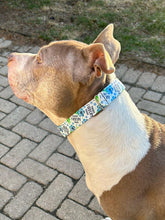 Load image into Gallery viewer, Dog Collar/ There's F*ckery Afoot Dog Collar/ Swear Dog Collar/ Adult Dog Collar/Fabric Dog Collar