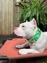 Load image into Gallery viewer, Dog Collar/ Limes Dog Collar/ Bright Lime Dog Collar/ Fruit Dog Collar/ Summery Dog Collar