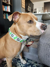 Load image into Gallery viewer, Hugasaurus Dog Collar