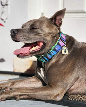 Load image into Gallery viewer, Dog Collar/Neon Ghosts Dog Collar/ Retro Ghosts Dog Collar/ Halloween Dog Collar/ Bright Ghosts Dog Collar/ Fabric Dog Collar