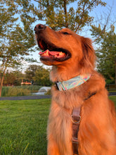 Load image into Gallery viewer, Dog Collar/ Prism Dog Collar/ Blue Rainbow Dog Collar/ Blue and Pink Dog Collar/ Fabric Dog Collar