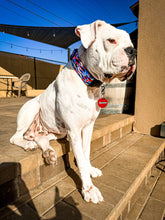 Load image into Gallery viewer, Dog Collar/ Patriotic Camo Print Dog Collar/ Red White and Blue Dog Collar/ USA Dog Collar/Fabric Dog Collar