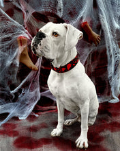 Load image into Gallery viewer, Dog Collar/ Blood on Black Dog Collar/ Bloody Dog Collar/ Halloween Dog Collar/ Spooky Dog Collar/ Fabric Dog Collar/ Fall Dog Collar