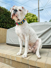 Load image into Gallery viewer, Dog Collar/ Tropical Dog Collar/ Tropical Plants Dog Collar/ Summer Dog Collar/ Flowers Dog Collar