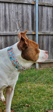 Load image into Gallery viewer, Dog Collar/ Throw the Damn Ball Dog Collar/ Tennis Ball Dog Collar/ Swearing Dog Collar/ Adult Dog Collar/ Fabric Dog Collar