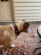 Load image into Gallery viewer, Dog Collar/ Love Bites Dog Collar/ Valentines Dog Collar/ Sharks Dog Collar/ Valentines Shark Hearts Dog Collar/ Fabric Dog Collar