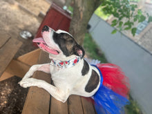 Load image into Gallery viewer, Patriotic Flowers Dog Collar