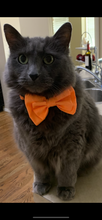 Load image into Gallery viewer, Build Your Own Bowtie