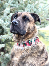 Load image into Gallery viewer, Dog Collar/ Christmas Plaid Dog Collar/ Holiday Plaid Dog Collar/ Winter Plaid Dog Collar/ Christmas Colors Dog Collar/ Fabric Dog Collar