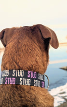 Load image into Gallery viewer, Dog Collar/ Stud Dog Collar/ Valentines Day Dog Collar/ Boy Dog Collar/ Fabric Dog Collar